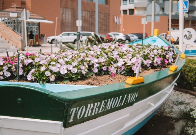 Carpinteros en Málaga provincia